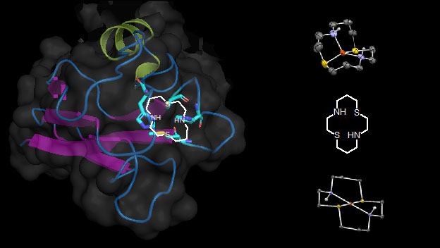 N2S2 chemical layout