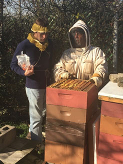 Two men collecting honey samples